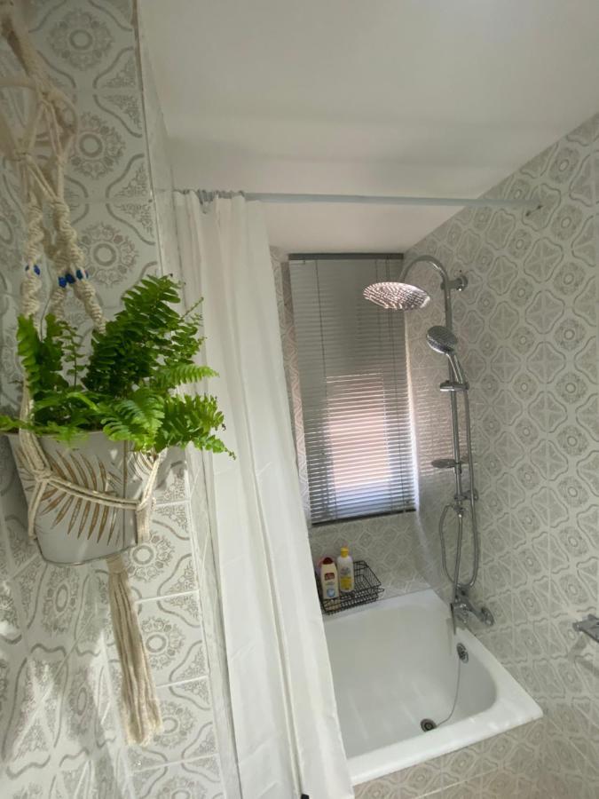 Apartamento Cebra Apartment Сарагоса Екстериор снимка